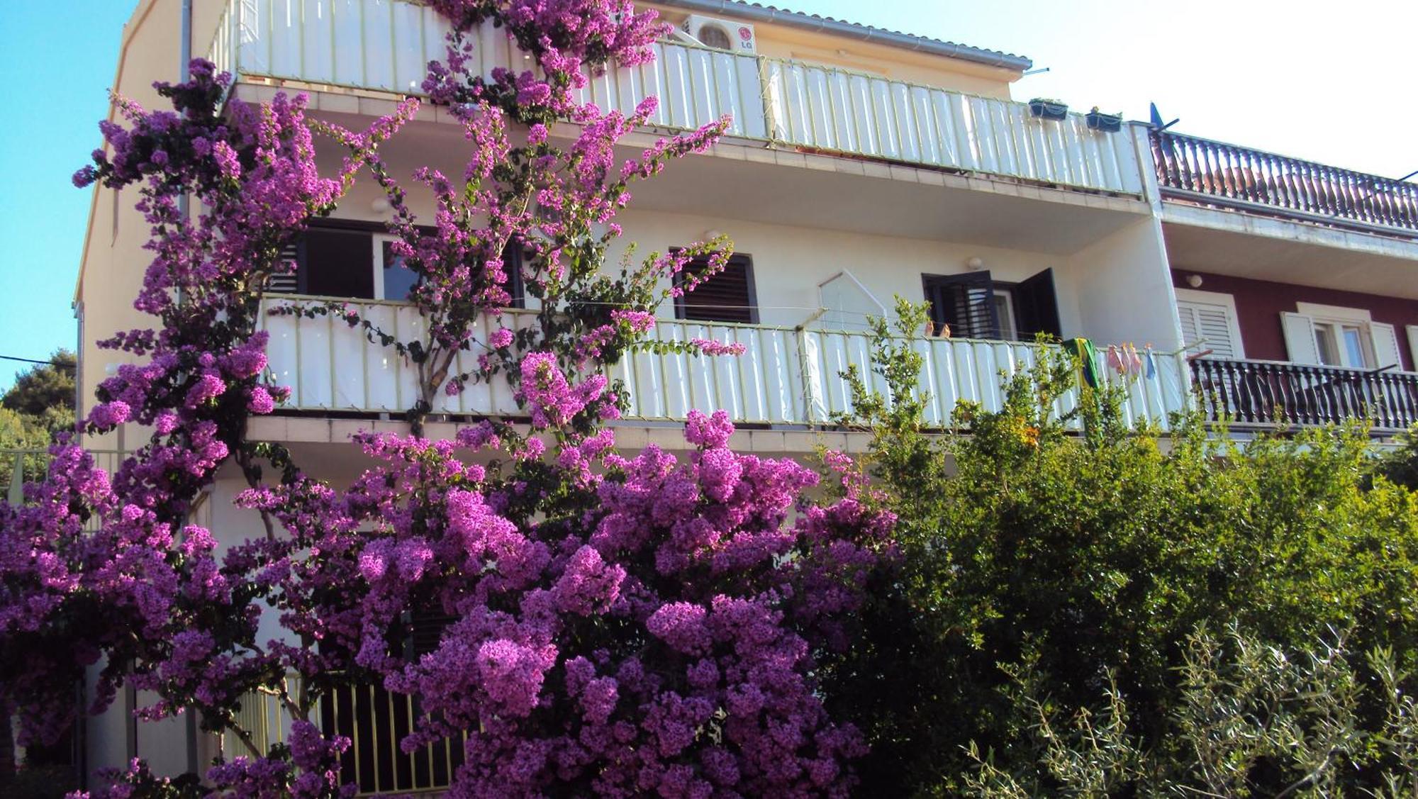 Apartments Green & Orange Hvar Town Bagian luar foto