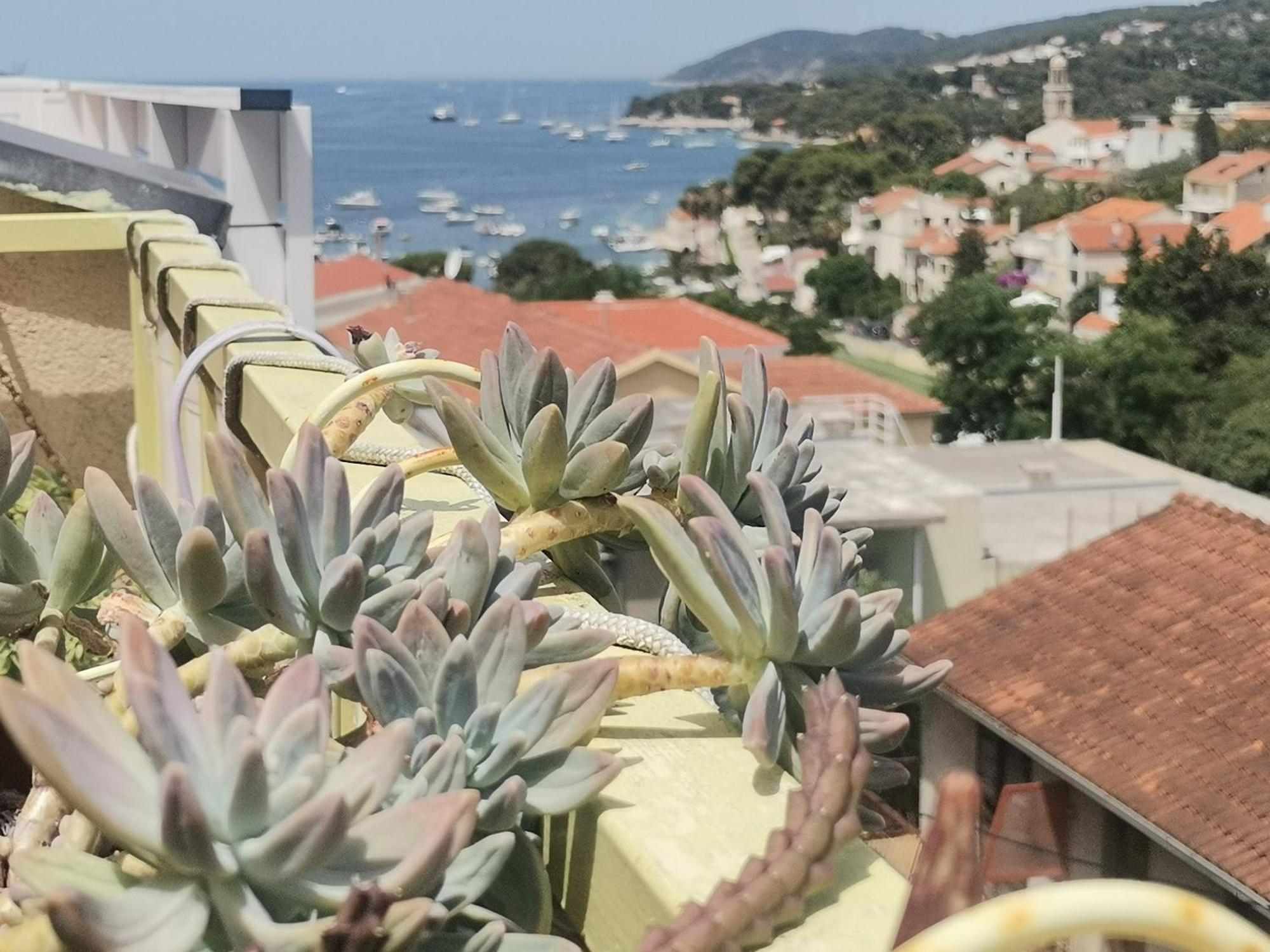 Apartments Green & Orange Hvar Town Bagian luar foto